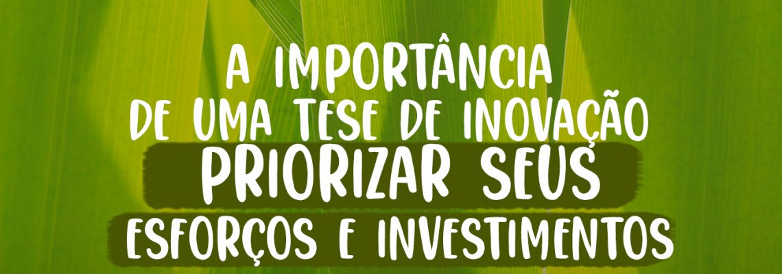 A importância de uma tese de inovação para priorizar seus esforços e investimentos
