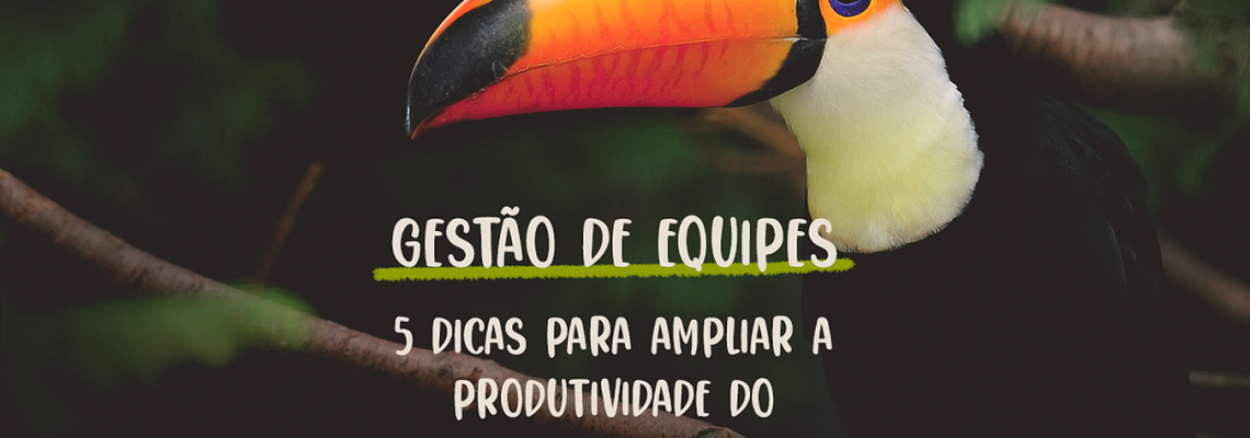 Gestão de equipes: 5 dicas para ampliar a produtividade do seu time
